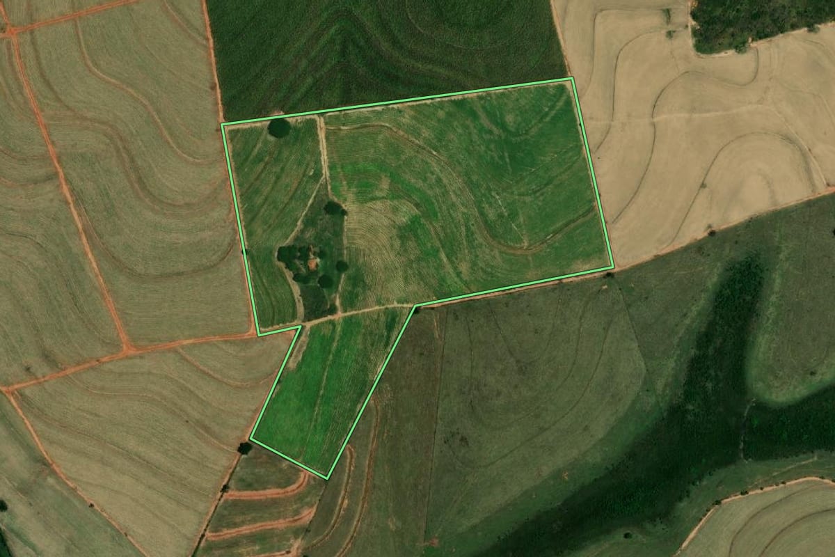 Imagem de satélite do imóvel rural em Penápolis (SP), com o contorno declarado no CAR desenhado por cima.