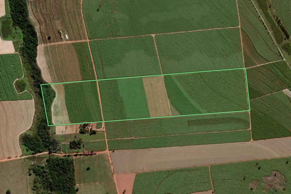 Imagem de satélite do imóvel rural em Penápolis (SP), com o contorno declarado no CAR desenhado por cima.