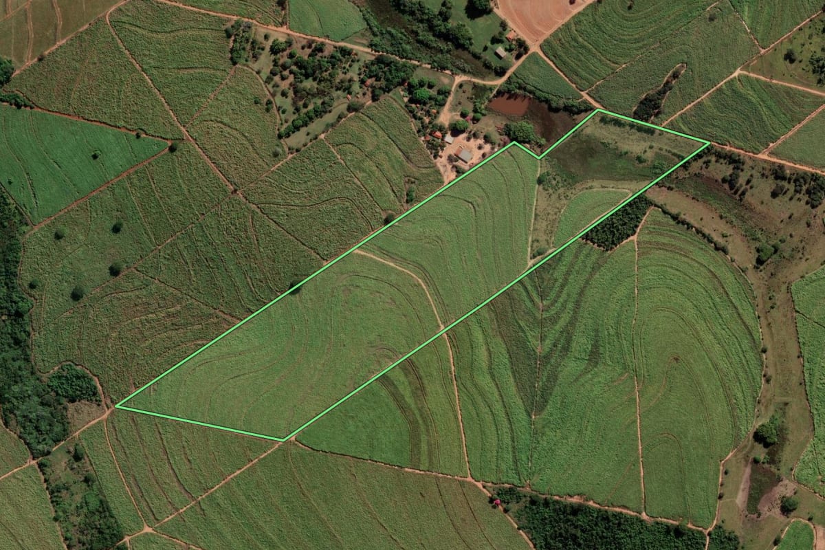 Imagem de satélite do imóvel rural em Penápolis (SP), com o contorno declarado no CAR desenhado por cima.