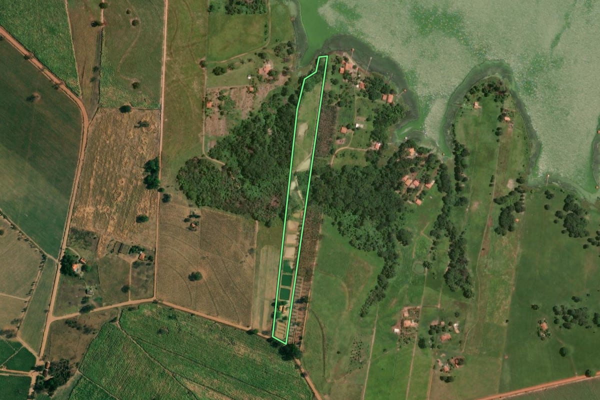 Imagem de satélite do imóvel rural em Penápolis (SP), com o contorno declarado no CAR desenhado por cima.