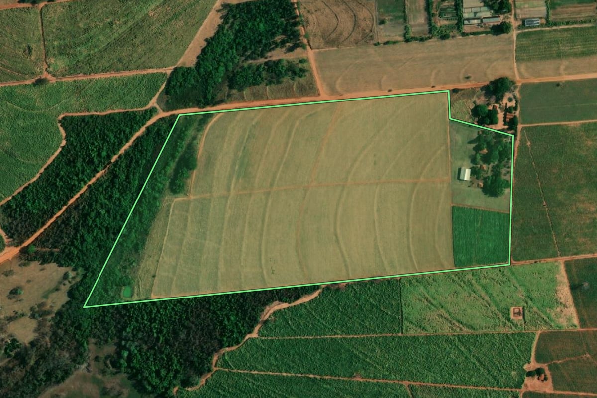 Imagem de satélite do imóvel rural em Penápolis (SP), com o contorno declarado no CAR desenhado por cima.