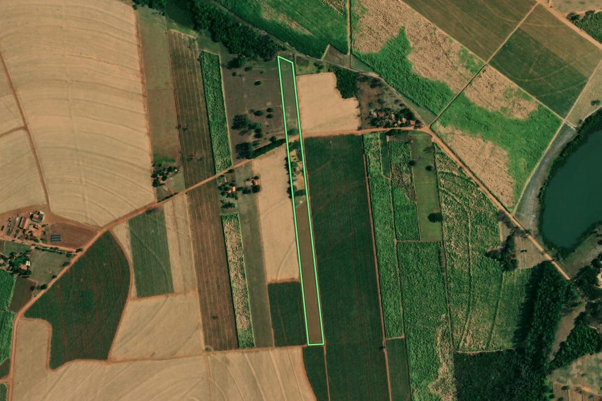 Imagem de satélite do imóvel rural em Penápolis (SP), com o contorno declarado no CAR desenhado por cima.