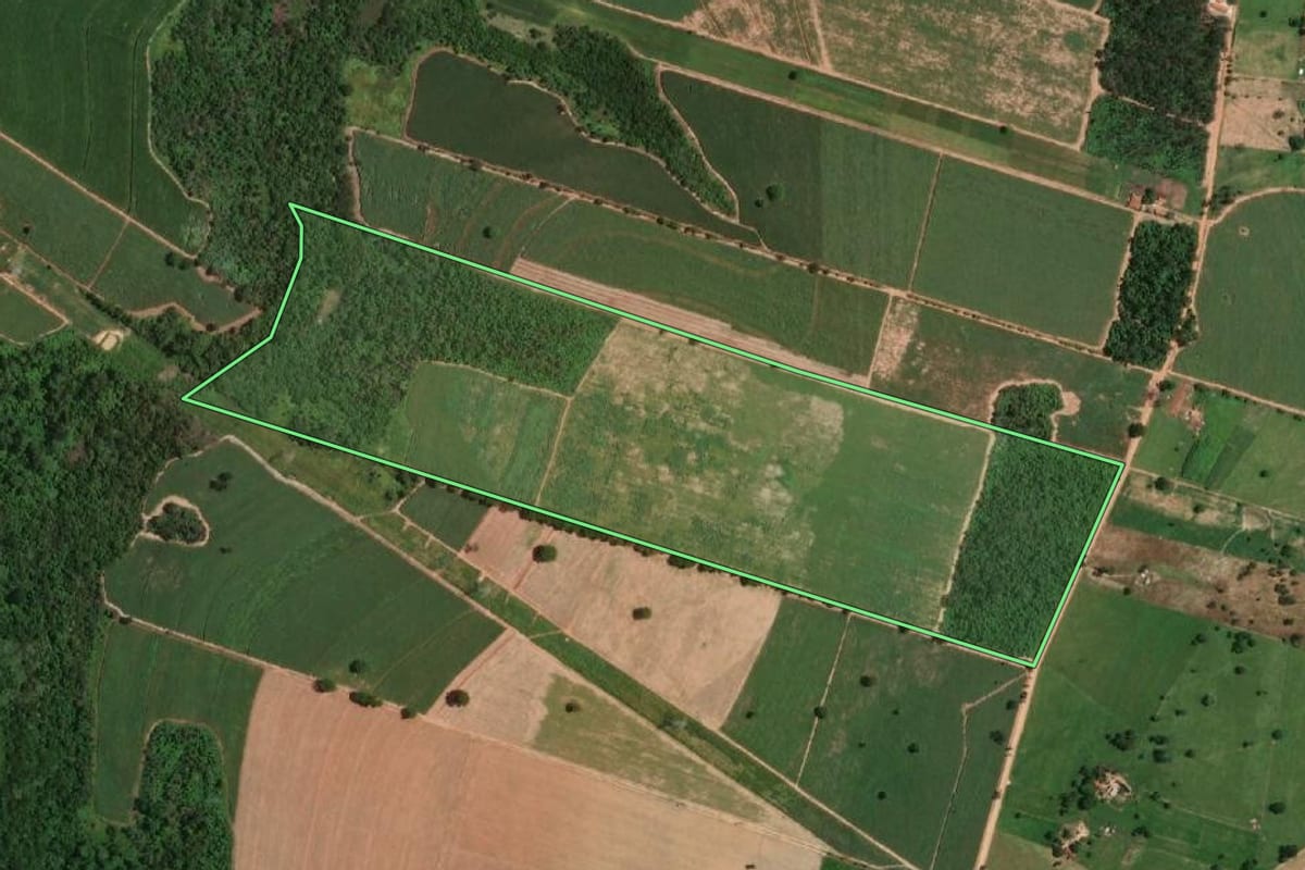 Imagem de satélite do imóvel rural em Penápolis (SP), com o contorno declarado no CAR desenhado por cima.