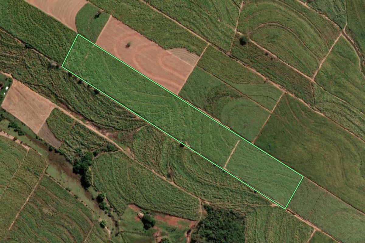 Imagem de satélite do imóvel rural em Penápolis (SP), com o contorno declarado no CAR desenhado por cima.