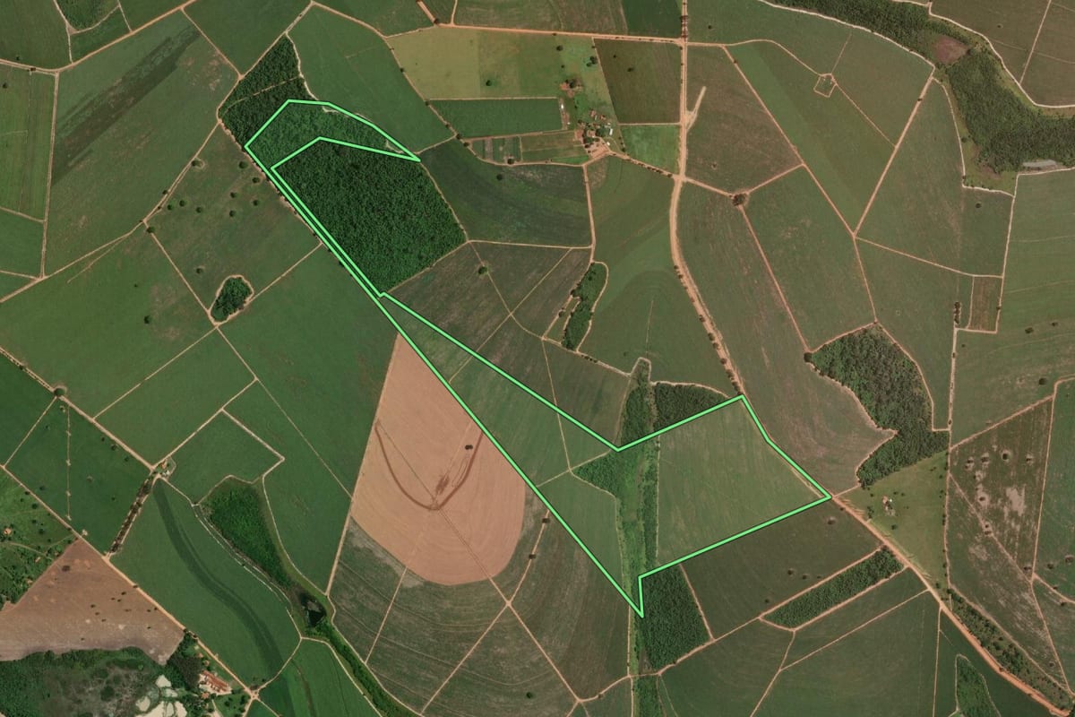 Imagem de satélite do imóvel rural em Penápolis (SP), com o contorno declarado no CAR desenhado por cima.