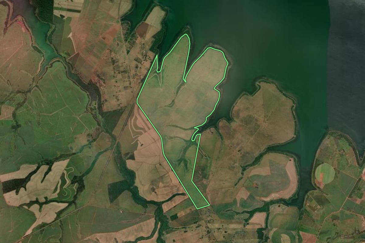 Imagem de satélite do imóvel rural em Pereira Barreto (SP), com o contorno declarado no CAR desenhado por cima.