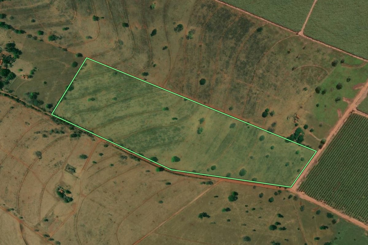 Imagem de satélite do imóvel rural em Pereira Barreto (SP), com o contorno declarado no CAR desenhado por cima.