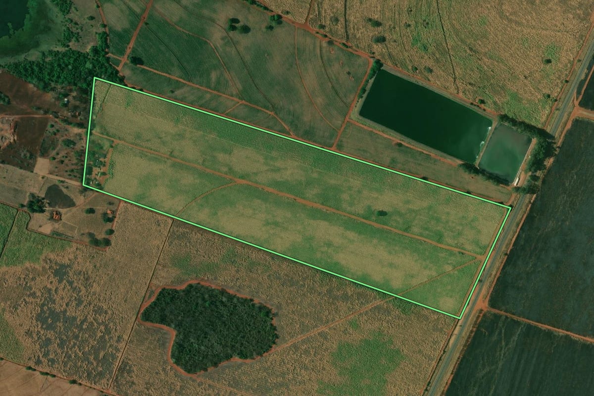 Imagem de satélite do imóvel rural em Pereira Barreto (SP), com o contorno declarado no CAR desenhado por cima.