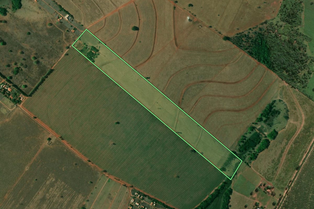 Imagem de satélite do imóvel rural em Pereira Barreto (SP), com o contorno declarado no CAR desenhado por cima.