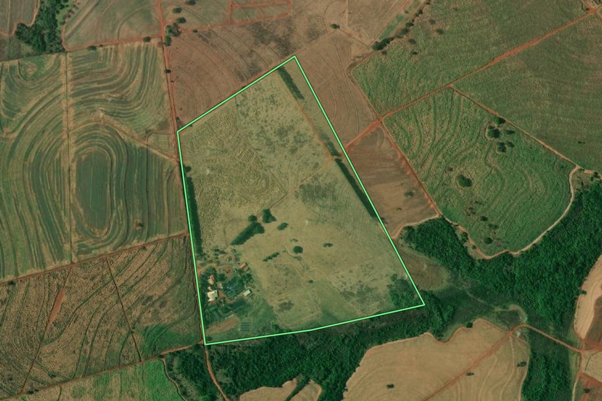 Imagem de satélite do imóvel rural em Pereira Barreto (SP), com o contorno declarado no CAR desenhado por cima.