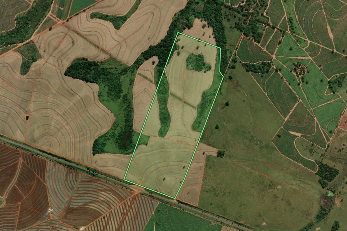 Imagem de satélite do imóvel rural em Pereira Barreto (SP), com o contorno declarado no CAR desenhado por cima.
