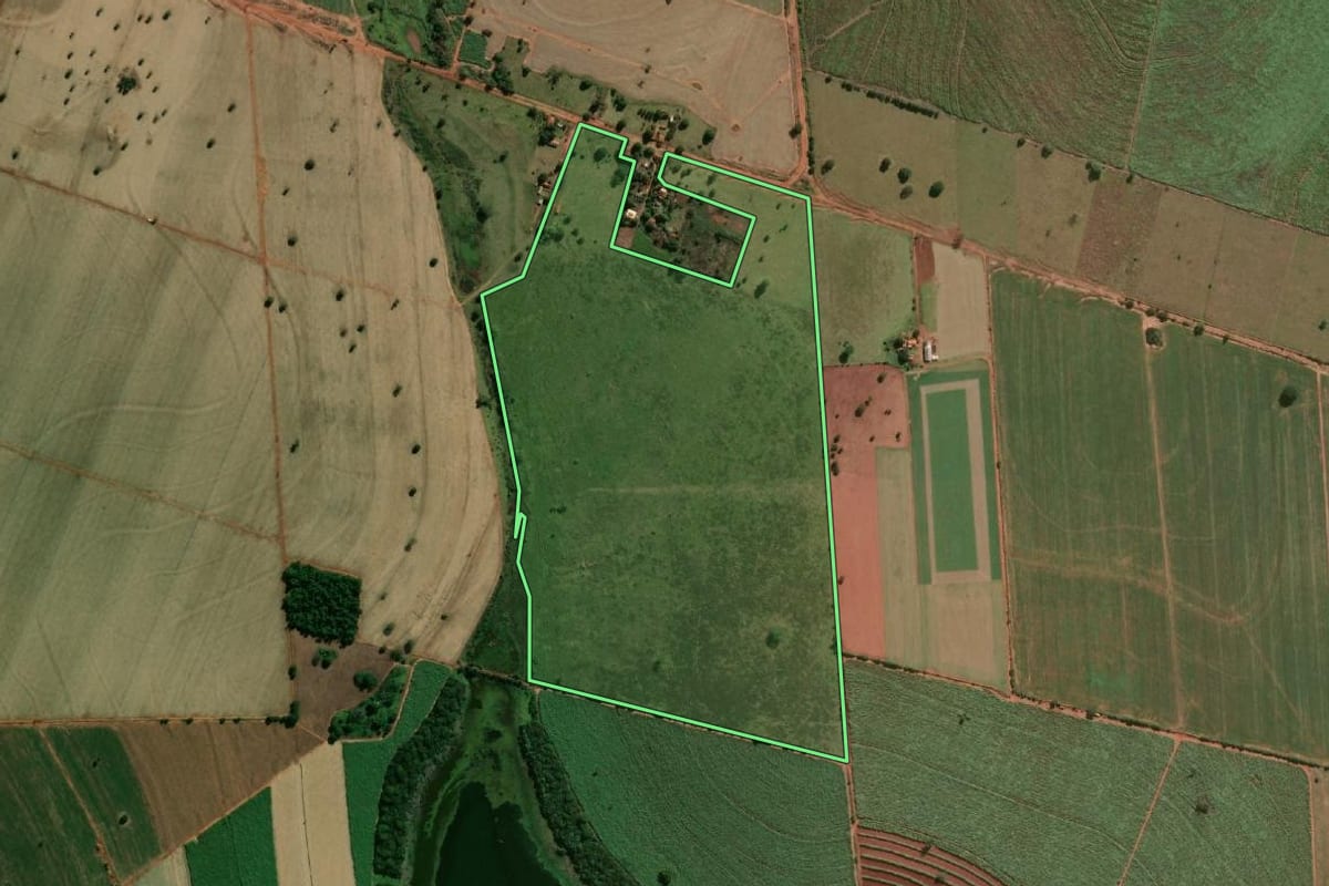 Imagem de satélite do imóvel rural em Pereira Barreto (SP), com o contorno declarado no CAR desenhado por cima.