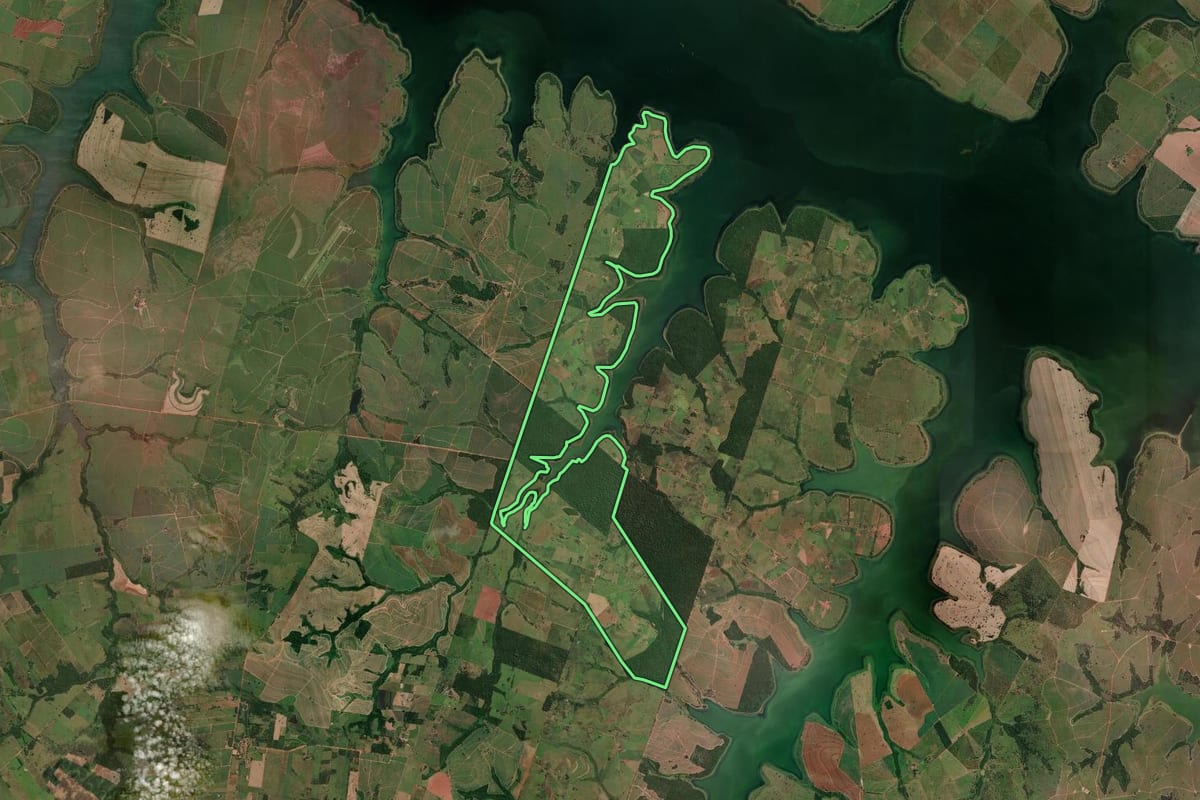 Imagem de satélite do imóvel rural em Pereira Barreto (SP), com o contorno declarado no CAR desenhado por cima.
