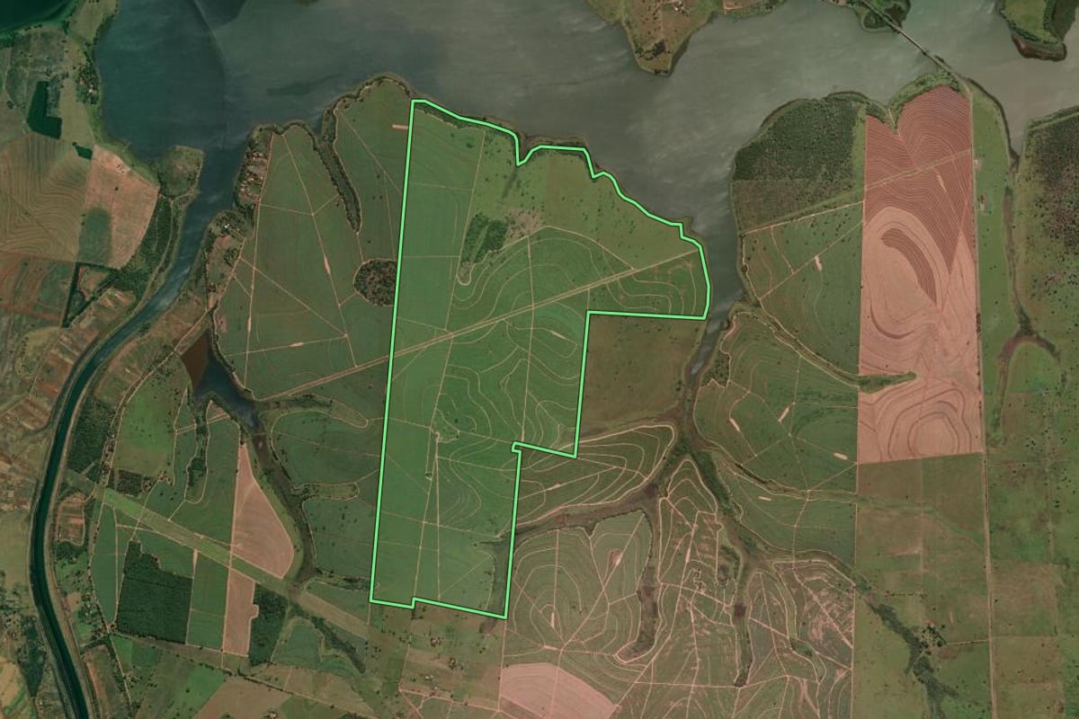 Imagem de satélite do imóvel rural em Pereira Barreto (SP), com o contorno declarado no CAR desenhado por cima.