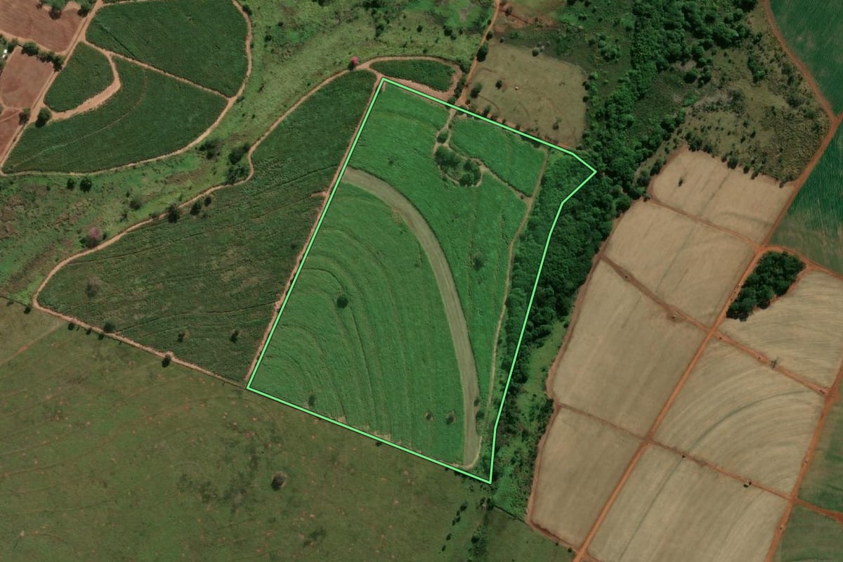 Imagem de satélite do imóvel rural em Pereira Barreto (SP), com o contorno declarado no CAR desenhado por cima.