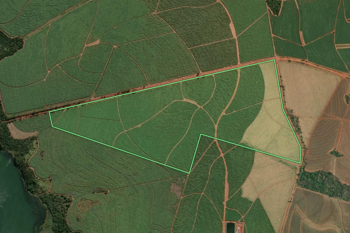 Imagem de satélite do imóvel rural em Pereira Barreto (SP), com o contorno declarado no CAR desenhado por cima.