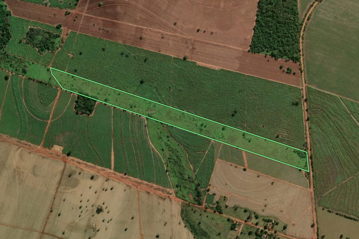 Imagem de satélite do imóvel rural em Pereira Barreto (SP), com o contorno declarado no CAR desenhado por cima.