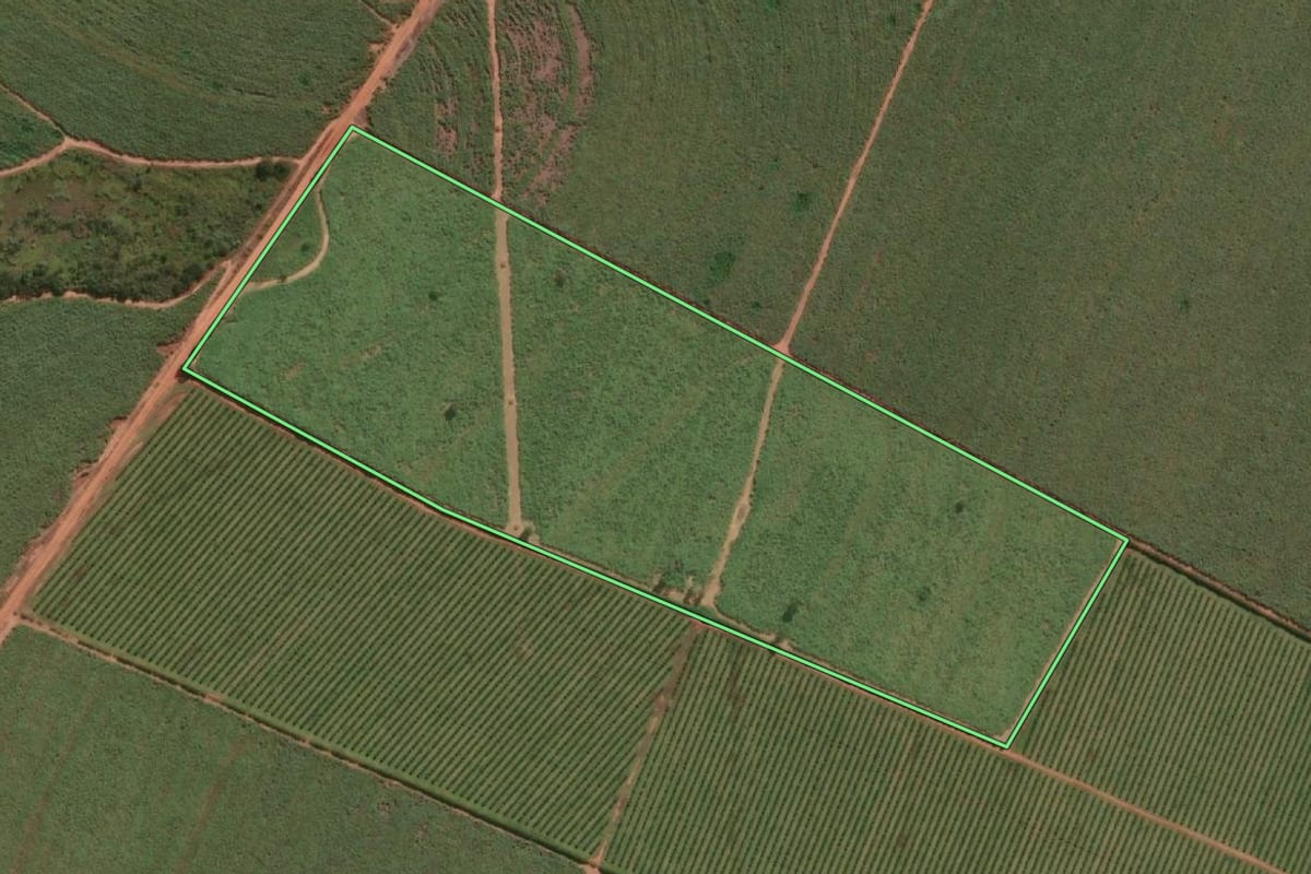 Imagem de satélite do imóvel rural em Pereira Barreto (SP), com o contorno declarado no CAR desenhado por cima.
