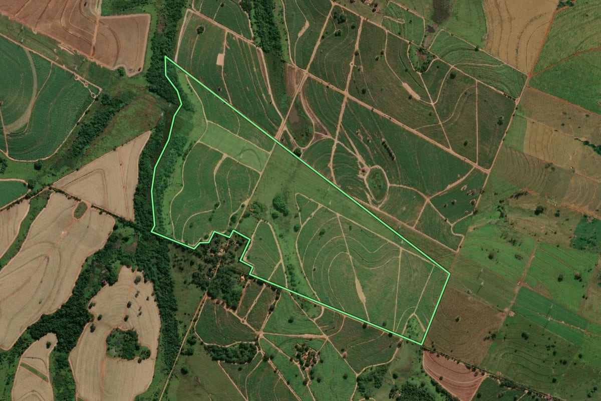Imagem de satélite do imóvel rural em Pereira Barreto (SP), com o contorno declarado no CAR desenhado por cima.