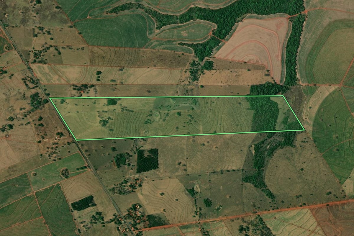 Imagem de satélite do imóvel rural em Pereira Barreto (SP), com o contorno declarado no CAR desenhado por cima.