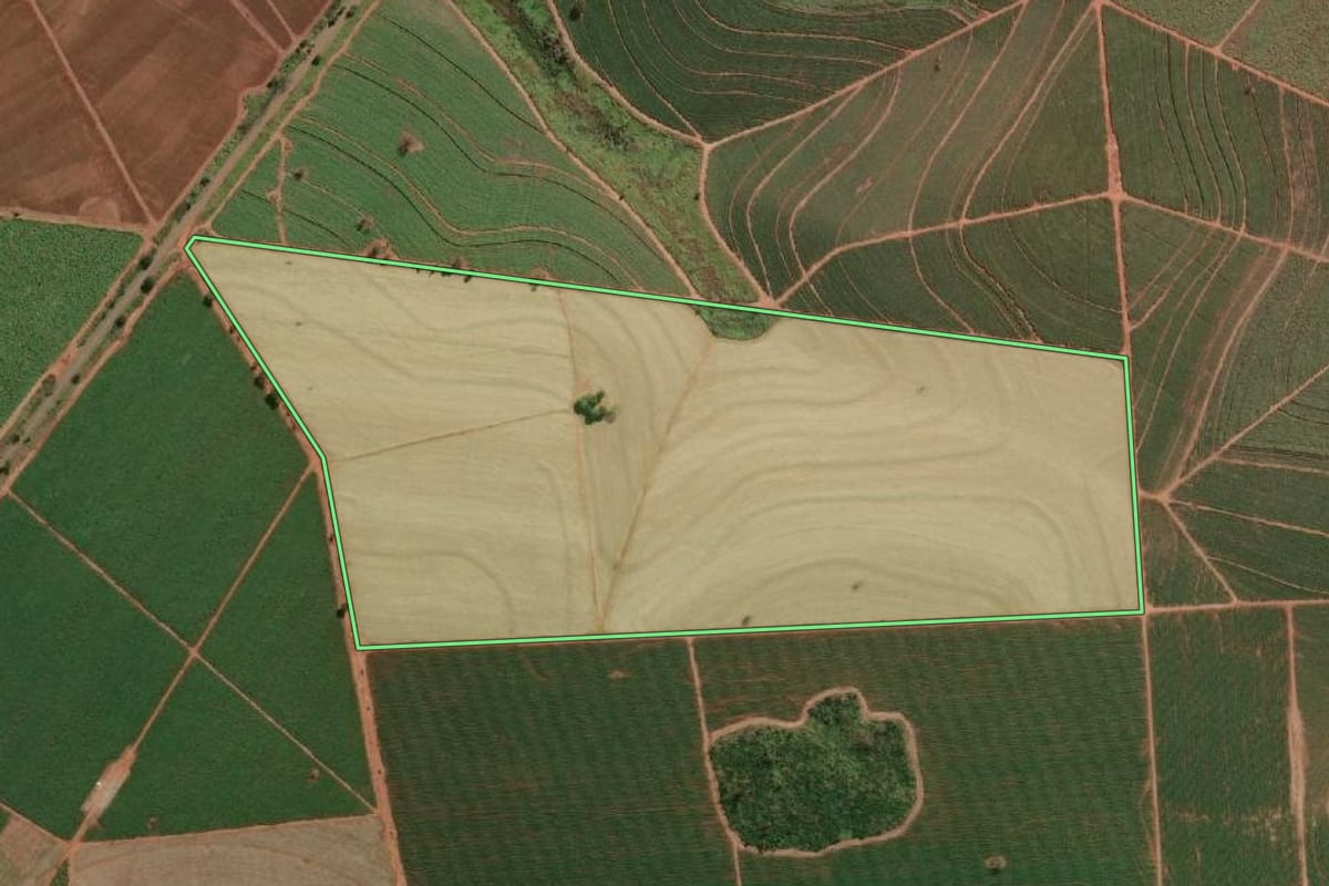 Imagem de satélite do imóvel rural em Pereira Barreto (SP), com o contorno declarado no CAR desenhado por cima.