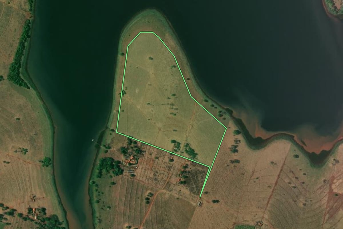 Imagem de satélite do imóvel rural em Pereira Barreto (SP), com o contorno declarado no CAR desenhado por cima.