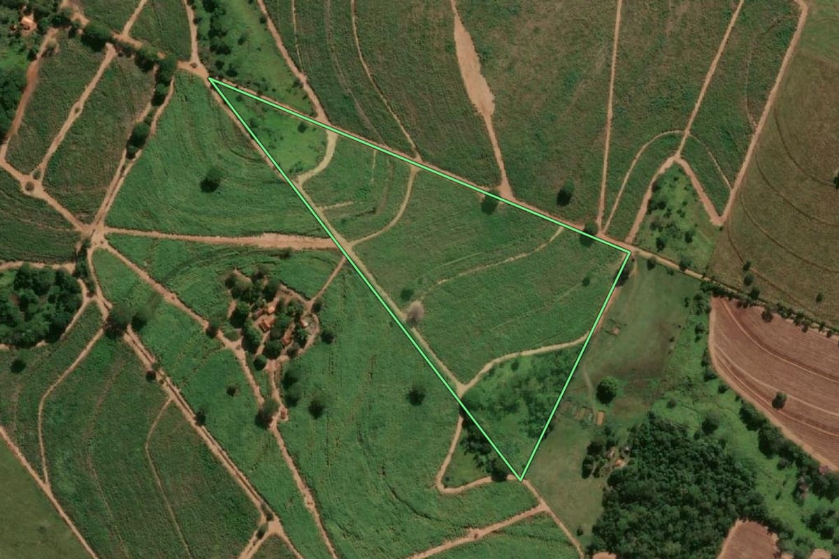 Imagem de satélite do imóvel rural em Pereira Barreto (SP), com o contorno declarado no CAR desenhado por cima.