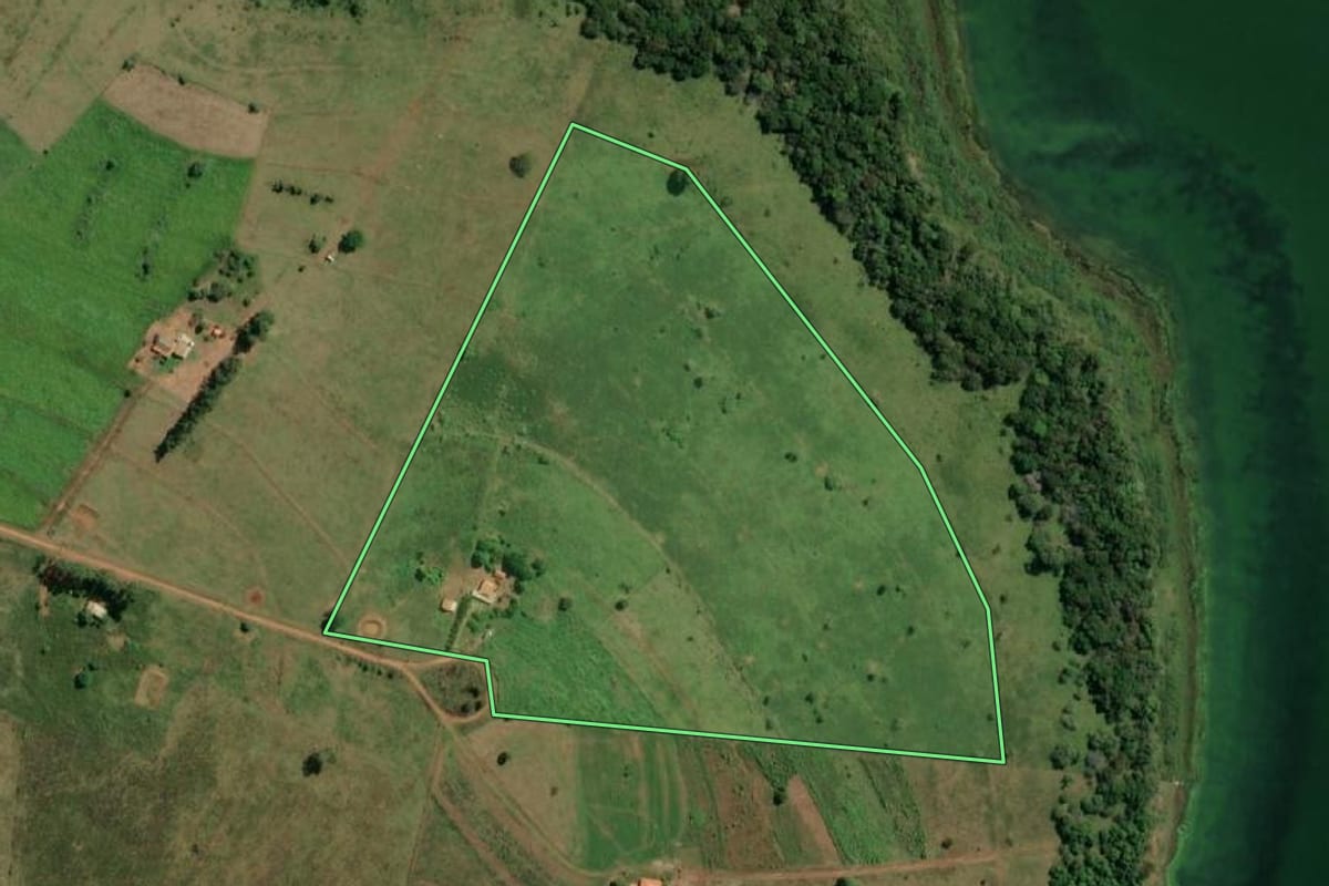 Imagem de satélite do imóvel rural em Pereira Barreto (SP), com o contorno declarado no CAR desenhado por cima.