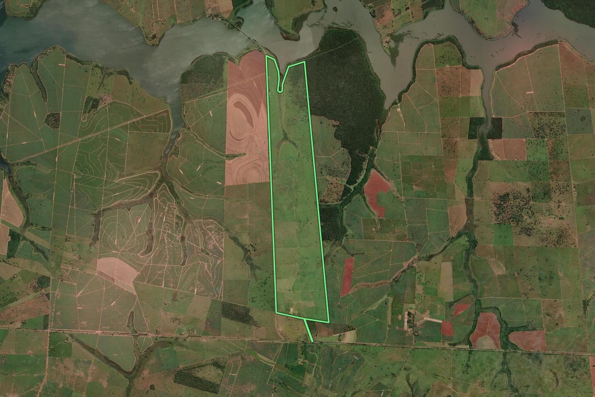 Imagem de satélite do imóvel rural em Pereira Barreto (SP), com o contorno declarado no CAR desenhado por cima.