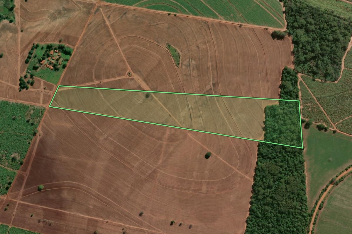 Imagem de satélite do imóvel rural em Pereira Barreto (SP), com o contorno declarado no CAR desenhado por cima.