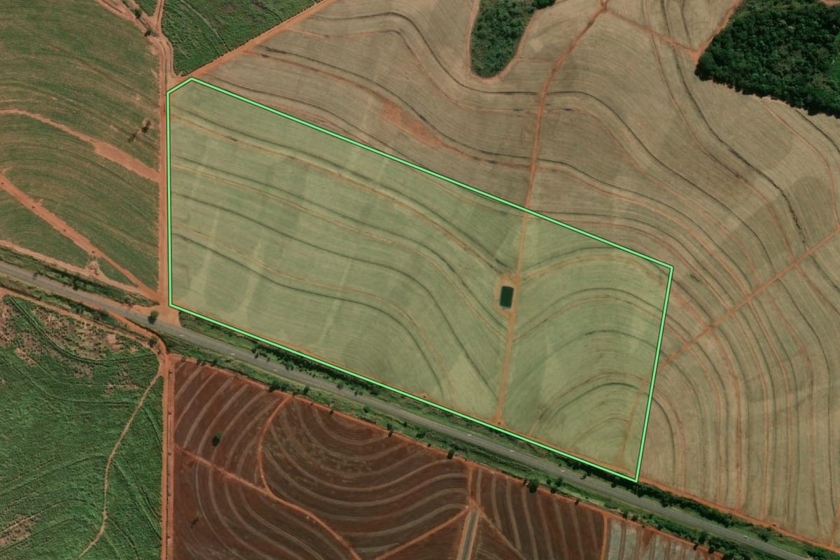 Imagem de satélite do imóvel rural em Pereira Barreto (SP), com o contorno declarado no CAR desenhado por cima.
