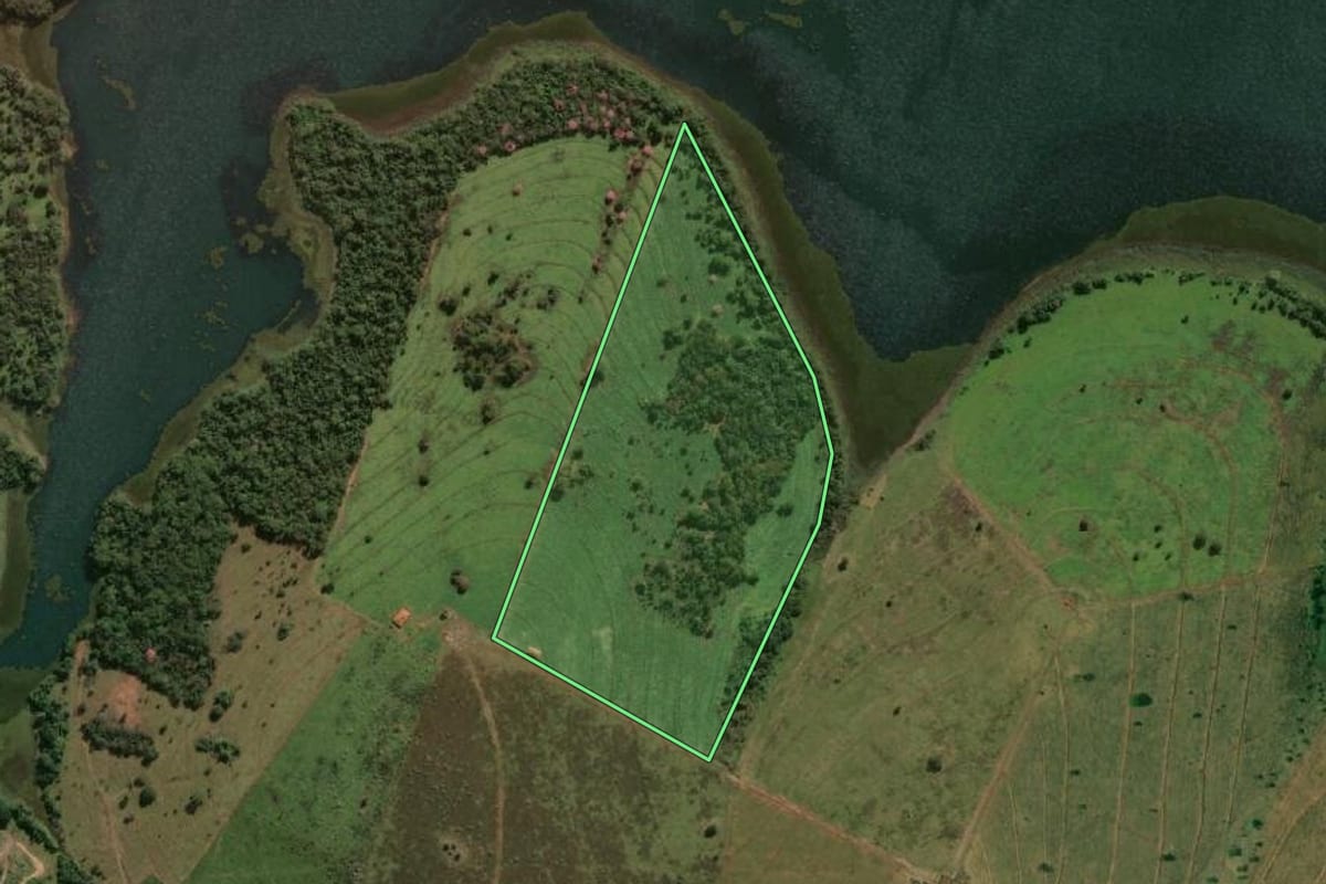 Imagem de satélite do imóvel rural em Pereira Barreto (SP), com o contorno declarado no CAR desenhado por cima.