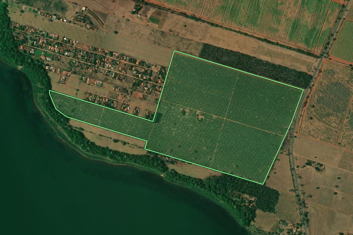 Imagem de satélite do imóvel rural em Pereira Barreto (SP), com o contorno declarado no CAR desenhado por cima.