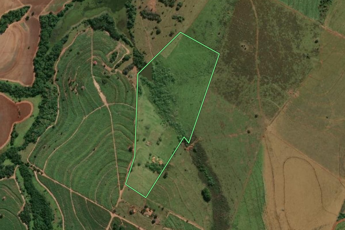 Imagem de satélite do imóvel rural em Pereira Barreto (SP), com o contorno declarado no CAR desenhado por cima.