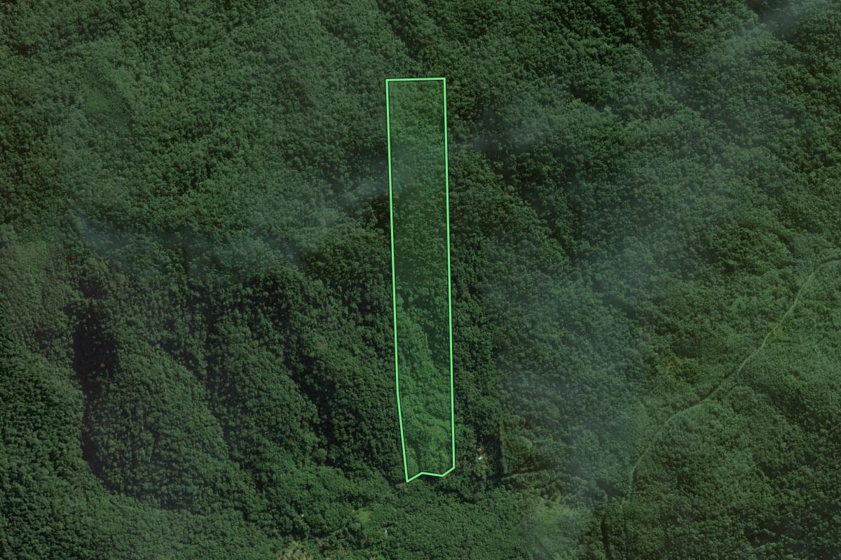 Imagem de satélite do imóvel rural em Peruíbe (SP), com o contorno declarado no CAR desenhado por cima.