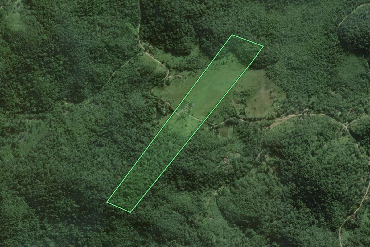 Imagem de satélite do imóvel rural em Peruíbe (SP), com o contorno declarado no CAR desenhado por cima.