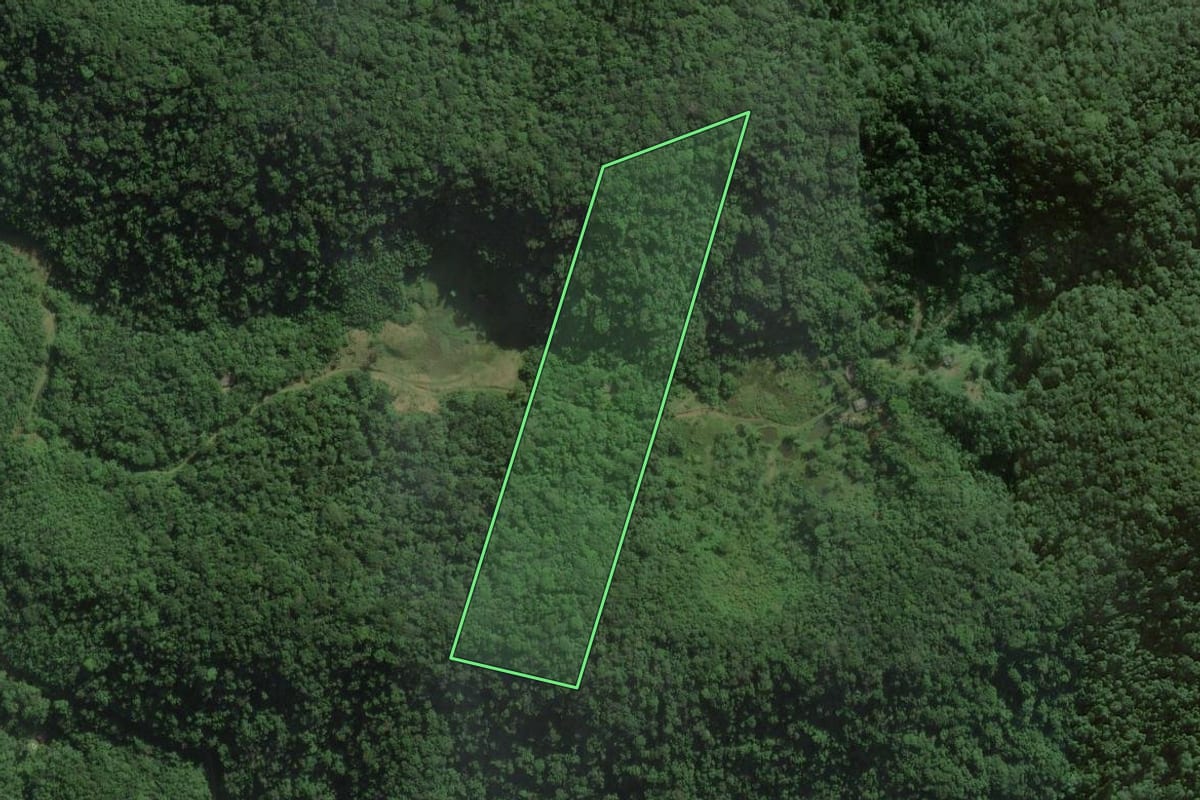 Imagem de satélite do imóvel rural em Peruíbe (SP), com o contorno declarado no CAR desenhado por cima.