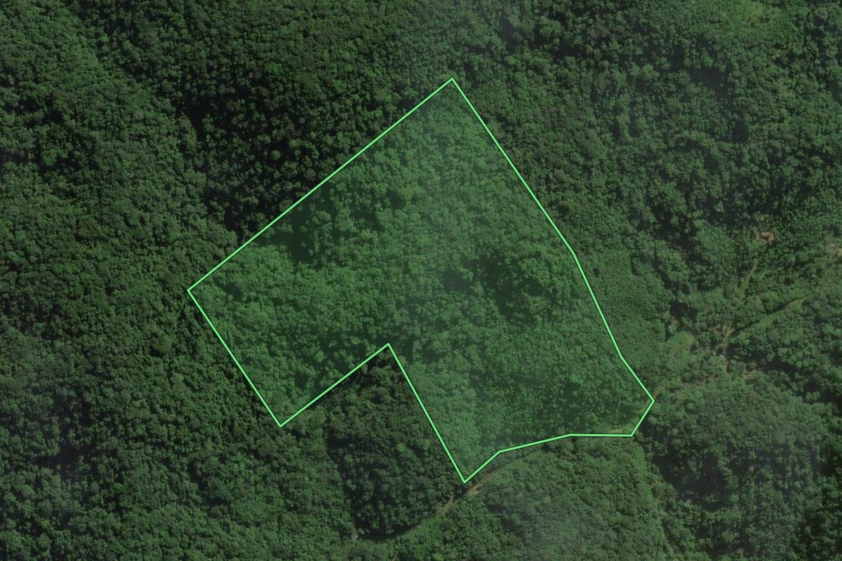 Imagem de satélite do imóvel rural em Peruíbe (SP), com o contorno declarado no CAR desenhado por cima.