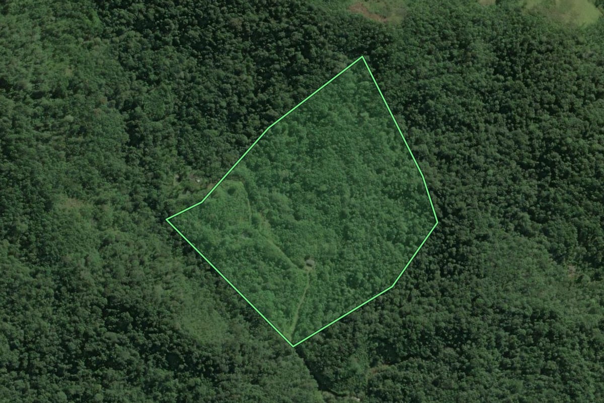 Imagem de satélite do imóvel rural em Peruíbe (SP), com o contorno declarado no CAR desenhado por cima.