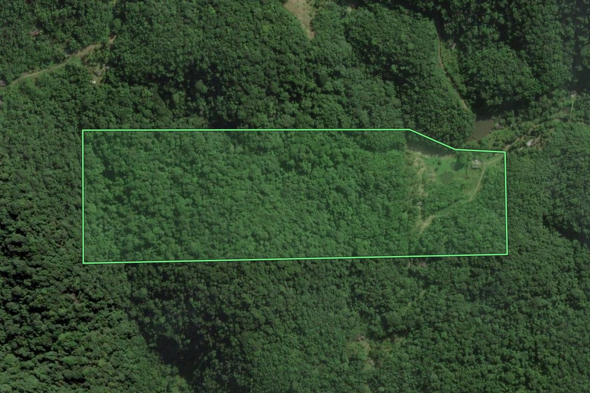 Imagem de satélite do imóvel rural em Peruíbe (SP), com o contorno declarado no CAR desenhado por cima.