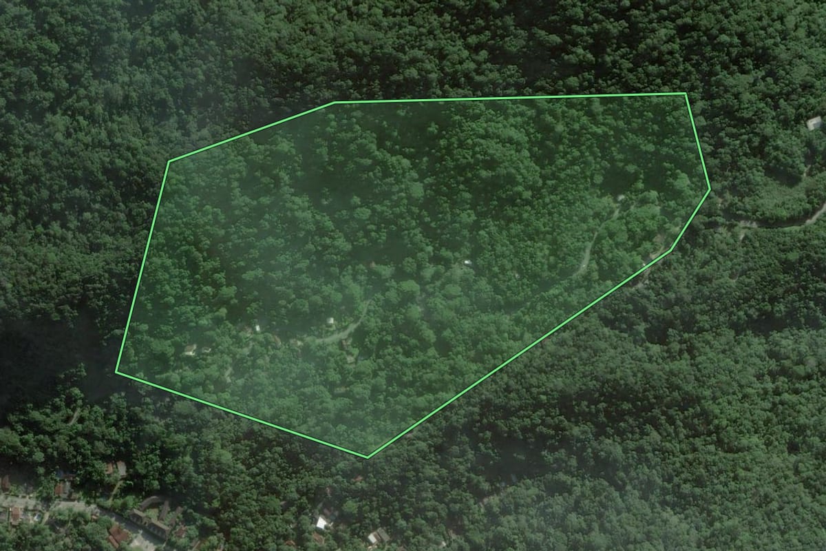 Imagem de satélite do imóvel rural em Peruíbe (SP), com o contorno declarado no CAR desenhado por cima.