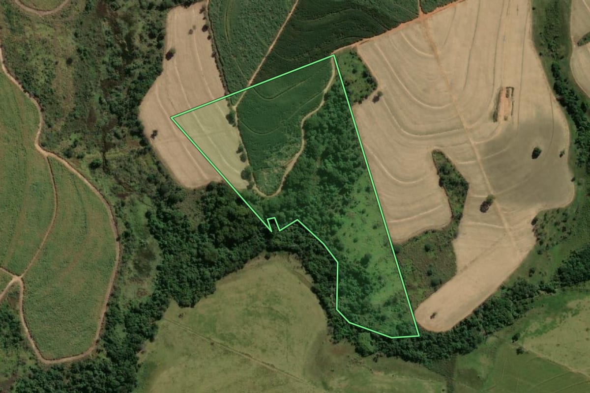 Imagem de satélite do imóvel rural em Piacatu (SP), com o contorno declarado no CAR desenhado por cima.