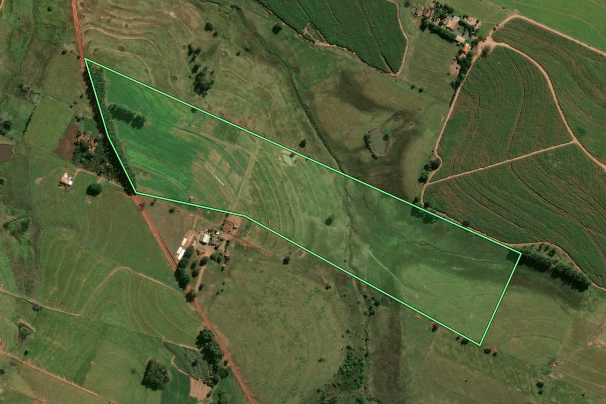 Imagem de satélite do imóvel rural em Piacatu (SP), com o contorno declarado no CAR desenhado por cima.