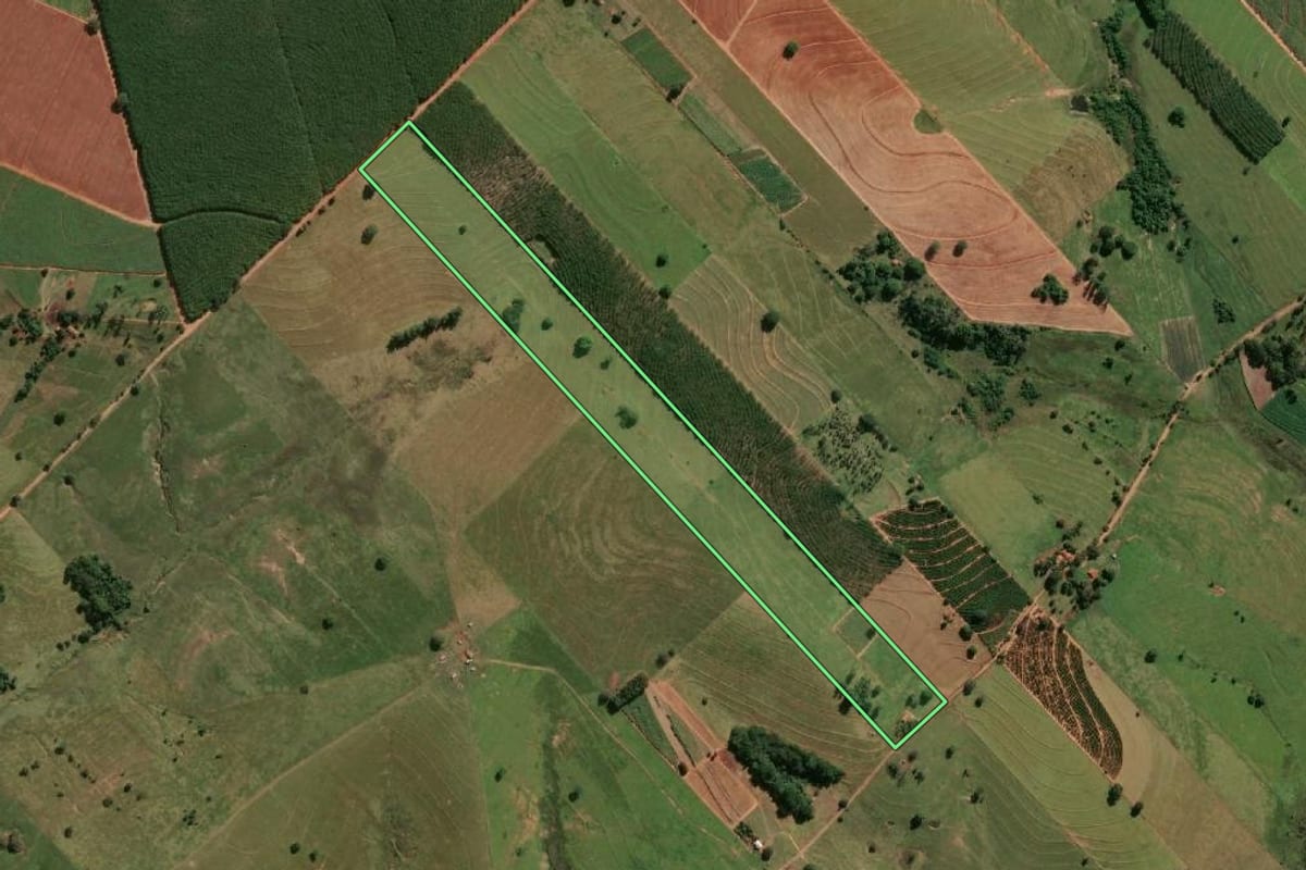 Imagem de satélite do imóvel rural em Piacatu (SP), com o contorno declarado no CAR desenhado por cima.
