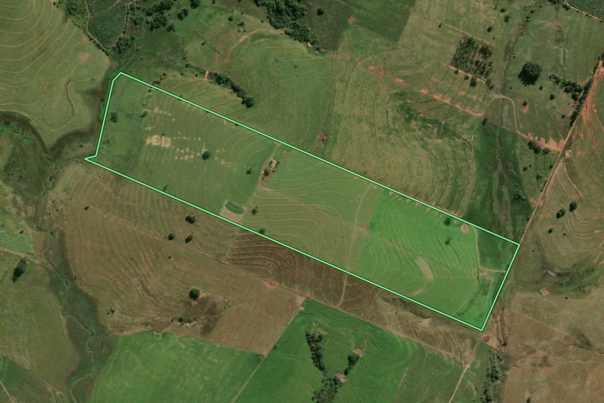 Imagem de satélite do imóvel rural em Piacatu (SP), com o contorno declarado no CAR desenhado por cima.