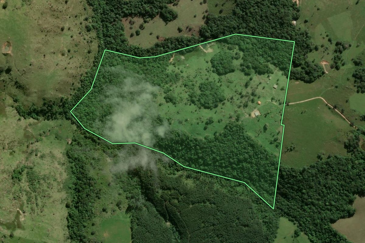 Imagem de satélite do imóvel rural em Piedade (SP), com o contorno declarado no CAR desenhado por cima.