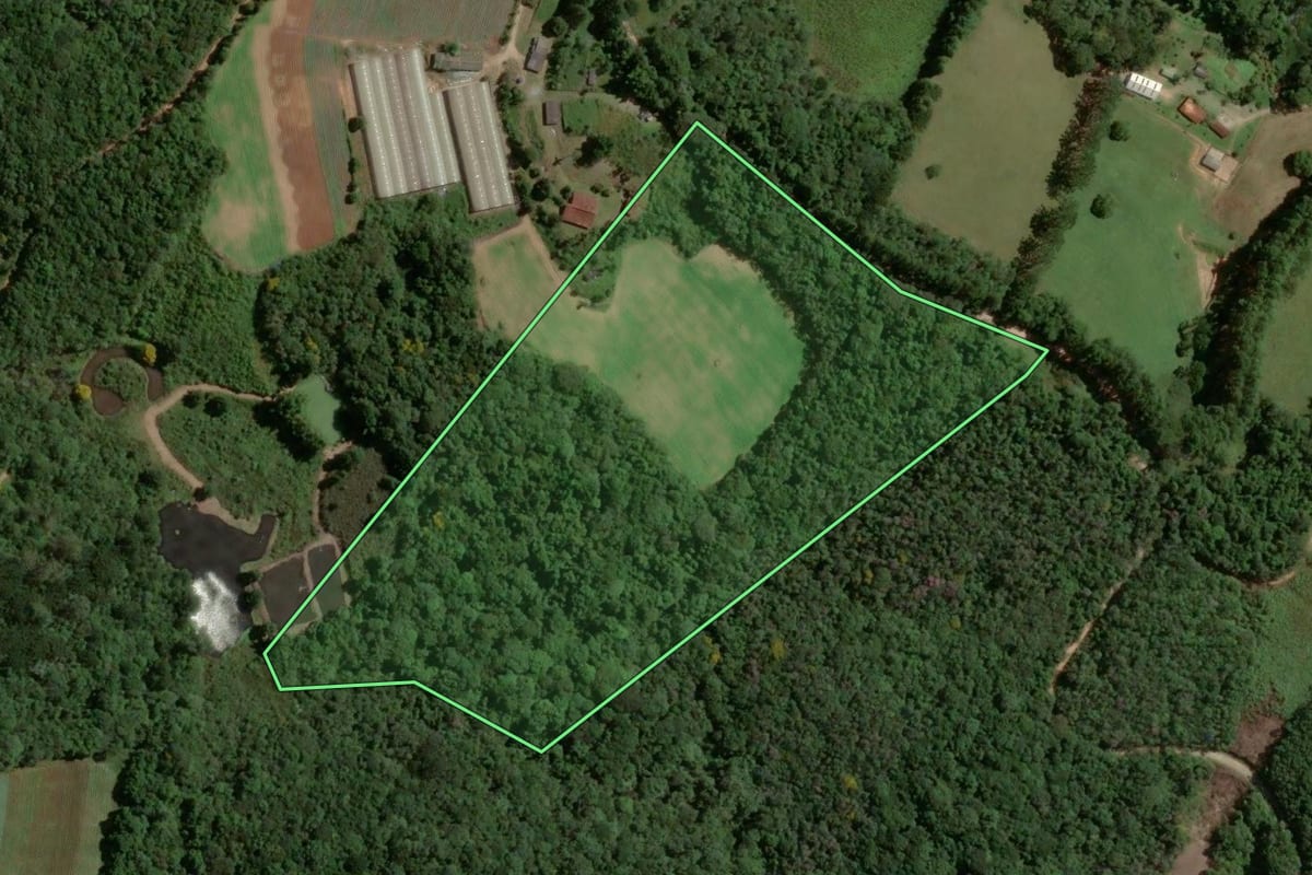 Imagem de satélite do imóvel rural em Piedade (SP), com o contorno declarado no CAR desenhado por cima.