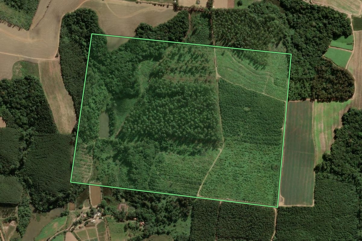 Imagem de satélite do imóvel rural em Piedade (SP), com o contorno declarado no CAR desenhado por cima.