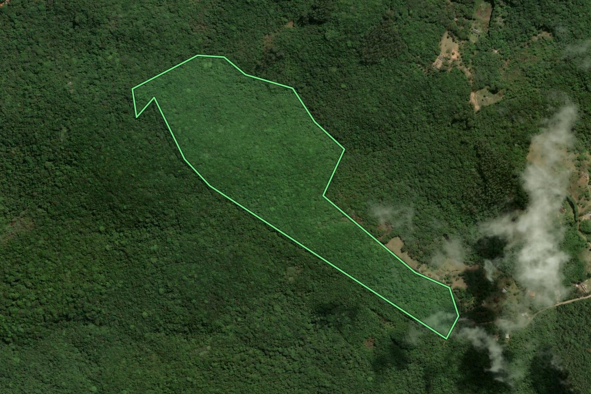 Imagem de satélite do imóvel rural em Piedade (SP), com o contorno declarado no CAR desenhado por cima.