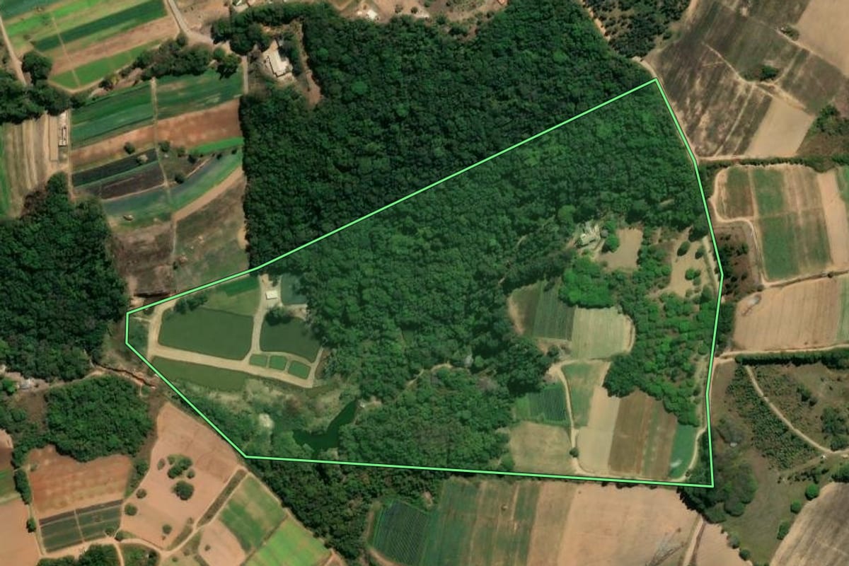 Imagem de satélite do imóvel rural em Piedade (SP), com o contorno declarado no CAR desenhado por cima.
